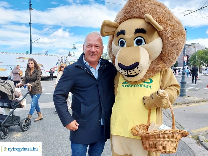 A Nemzeti Vágtán kelt életre a Nyíregyházi Állatpark oroszlánja 