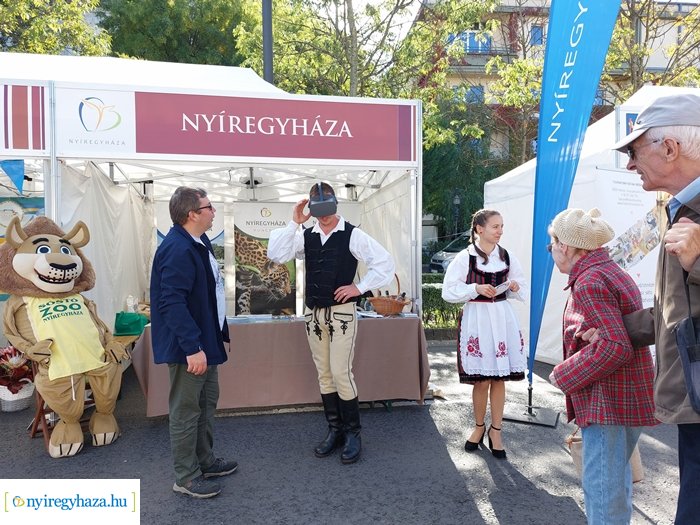 A Nemzeti Vágtán kelt életre a Nyíregyházi Állatpark oroszlánja 