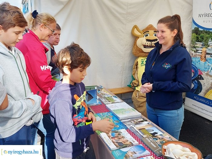 A Nemzeti Vágtán kelt életre a Nyíregyházi Állatpark oroszlánja 