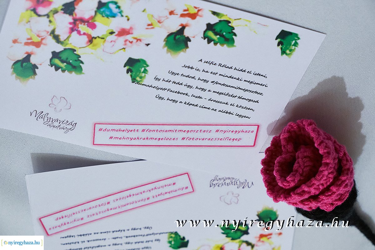 A nők egészsége határok nélkül - rendezvény