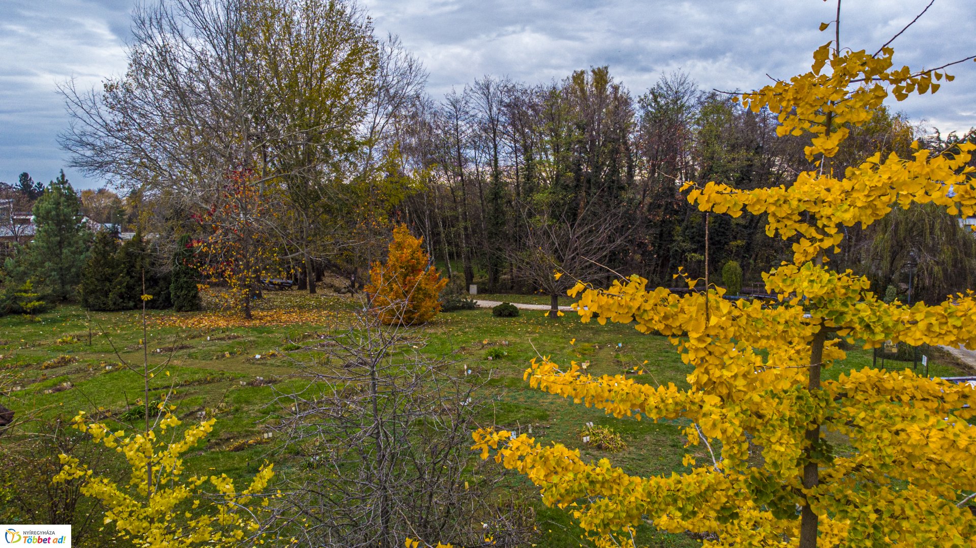 A Nyíregyházi Egyetem a magasból