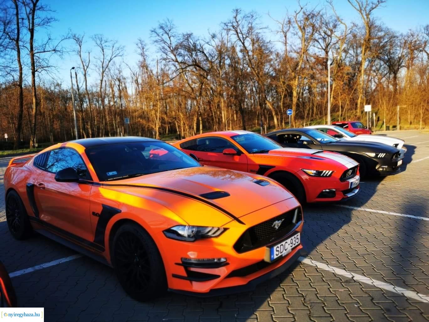 A nyíregyházi Mustang Klub autócsodái