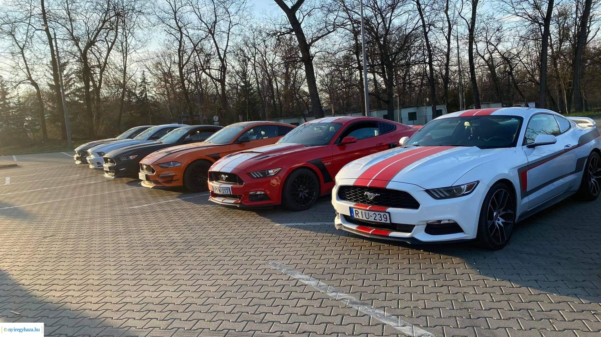 A nyíregyházi Mustang Klub autócsodái