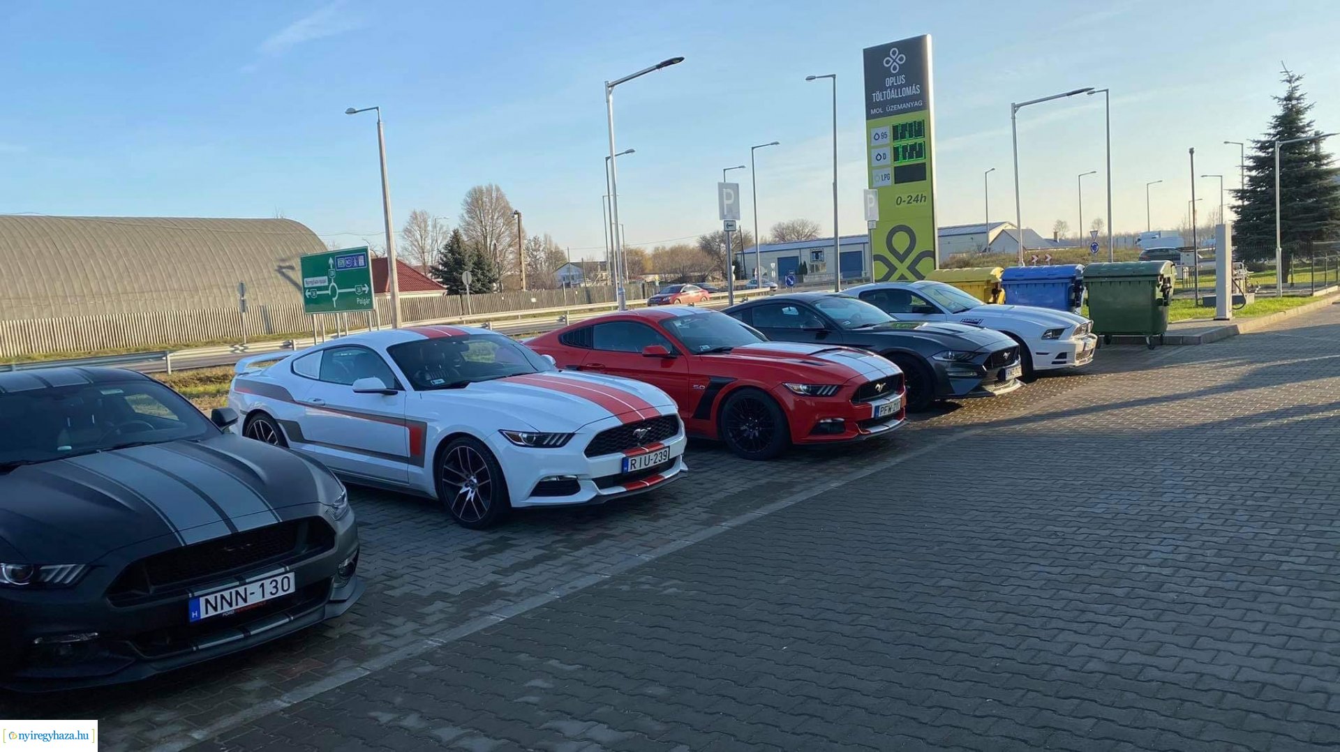 A nyíregyházi Mustang Klub autócsodái