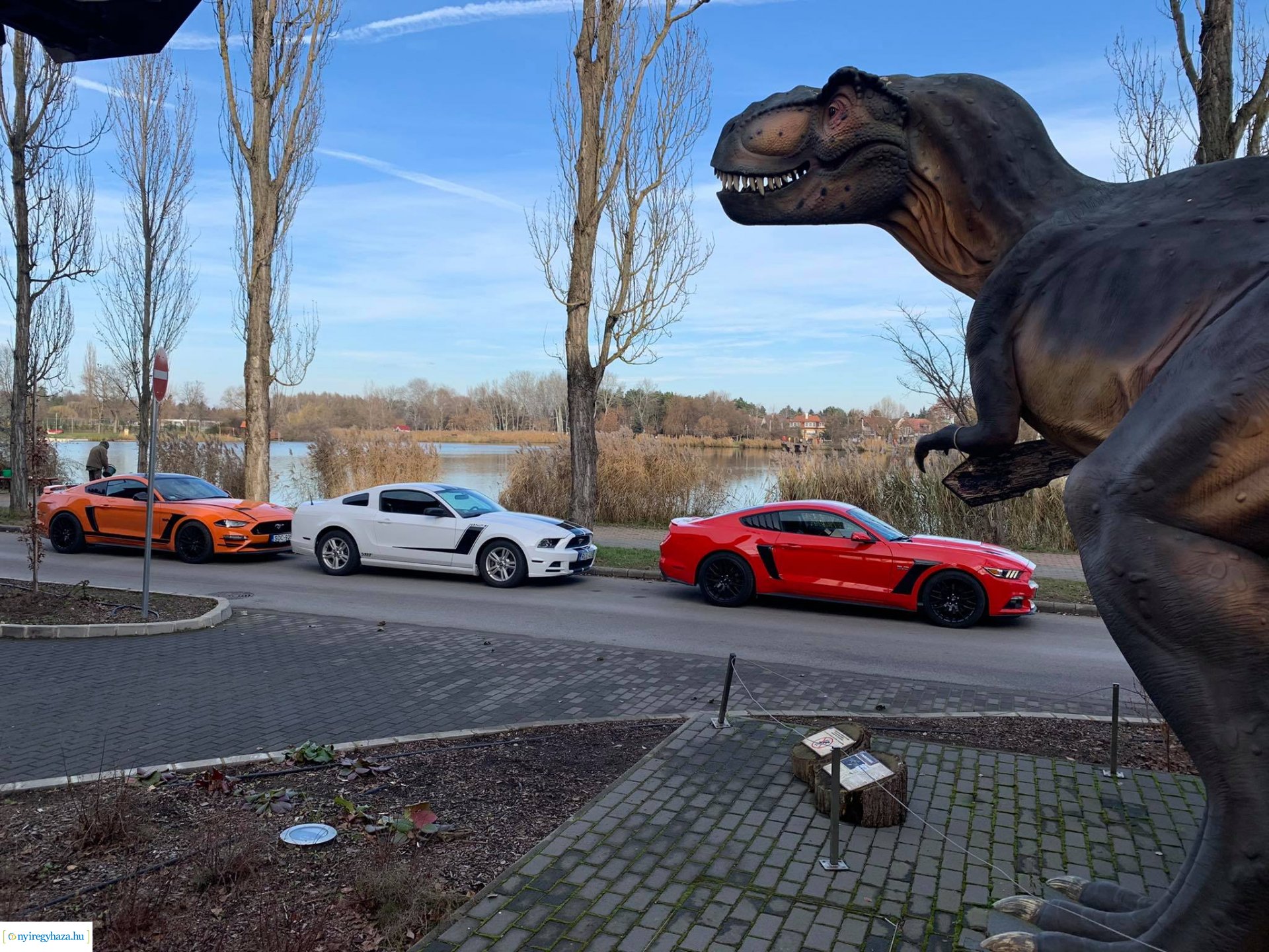 A nyíregyházi Mustang Klub autócsodái