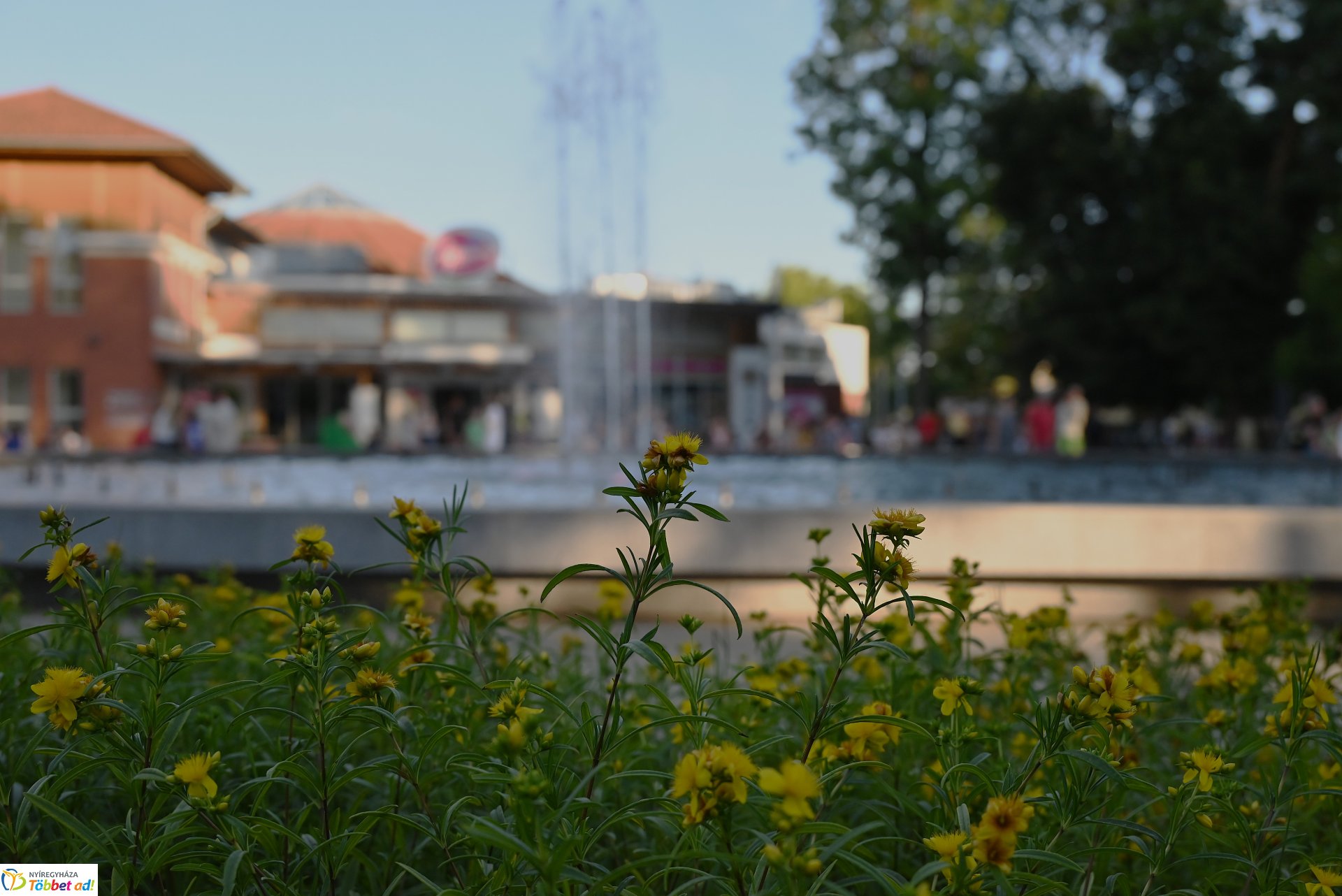 A Polip Band  koncertje a Zene Sóstón programsorozat színpadán
