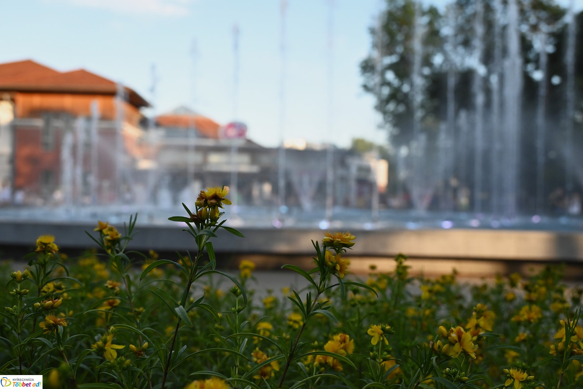 A Polip Band  koncertje a Zene Sóstón programsorozat színpadán