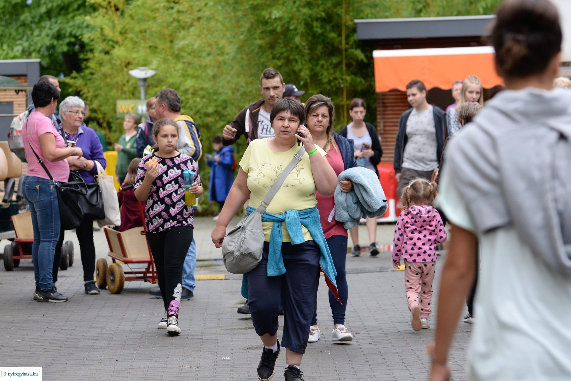 A szociális és egészségügyi ágazatban dolgozók családi napja