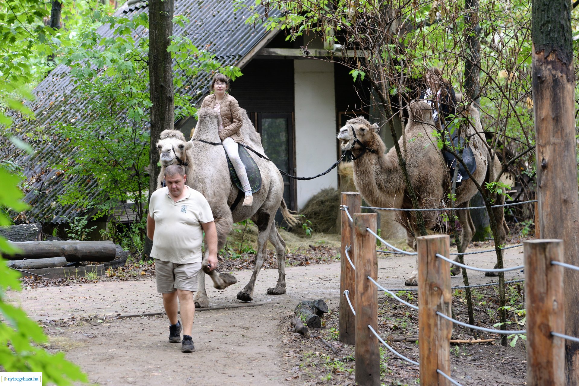 A szociális és egészségügyi ágazatban dolgozók családi napja