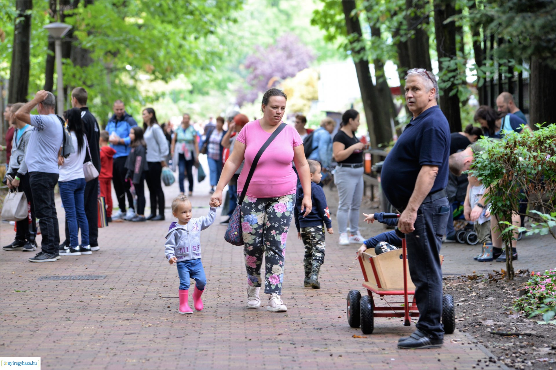 A szociális és egészségügyi ágazatban dolgozók családi napja