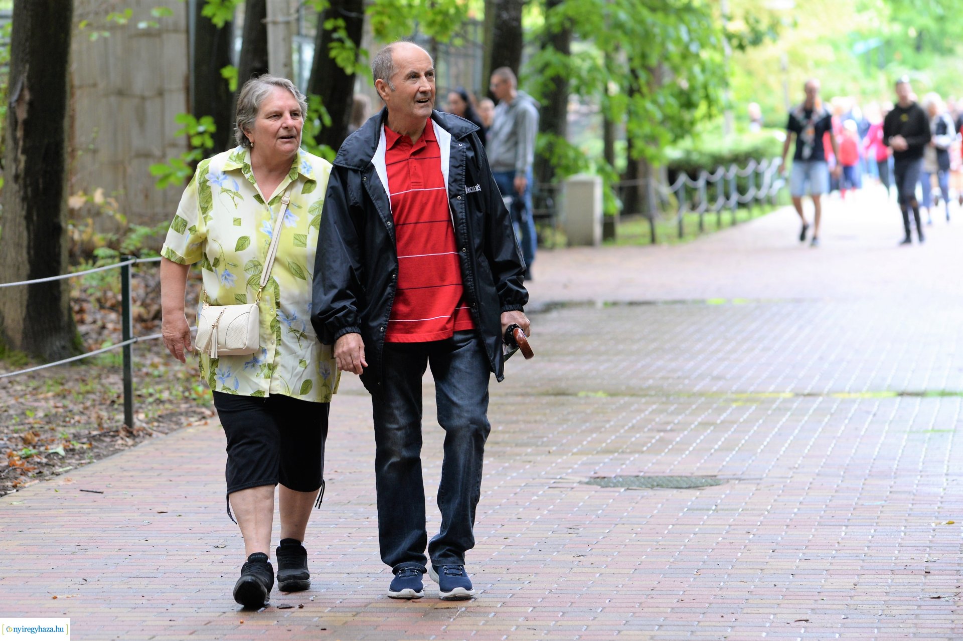 A szociális és egészségügyi ágazatban dolgozók családi napja