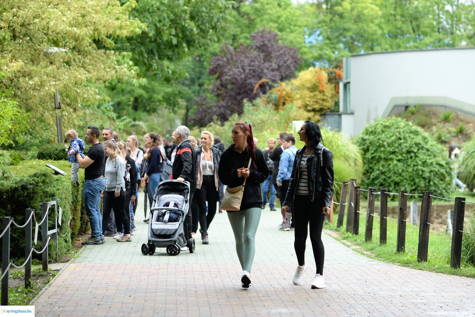 A szociális és egészségügyi ágazatban dolgozók családi napja