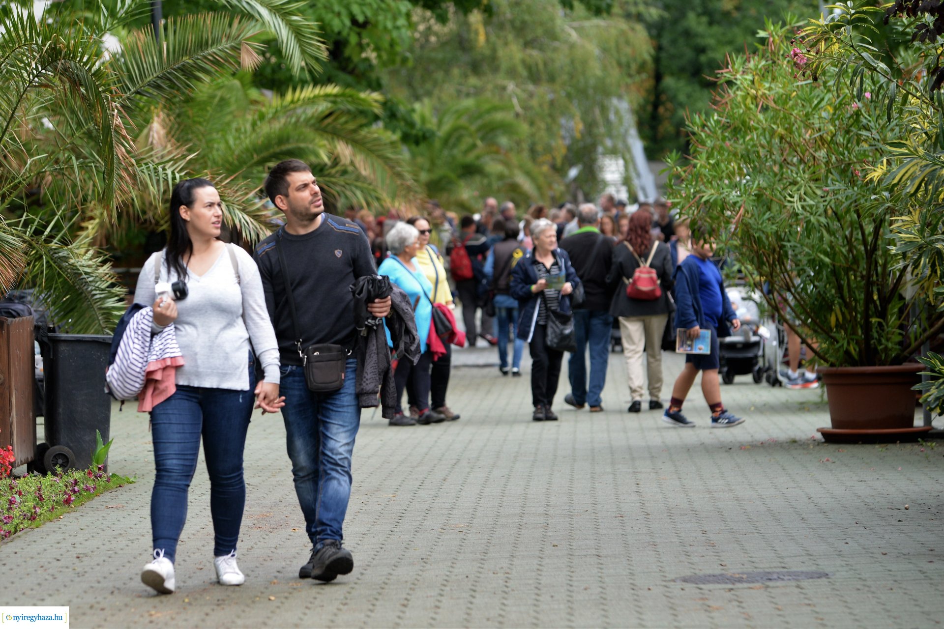 A szociális és egészségügyi ágazatban dolgozók családi napja