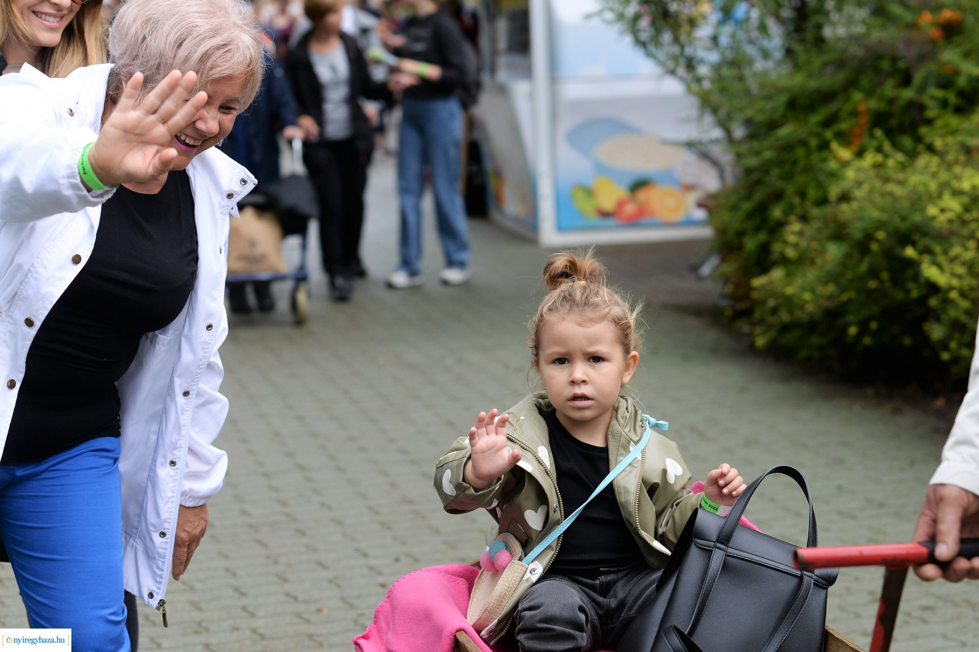 A szociális és egészségügyi ágazatban dolgozók családi napja