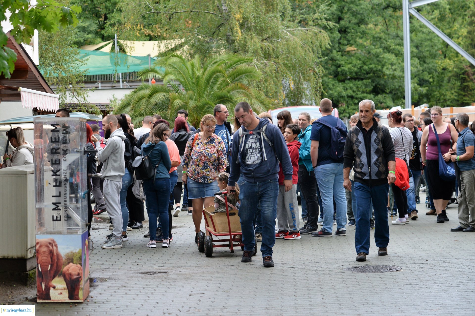 A szociális és egészségügyi ágazatban dolgozók családi napja