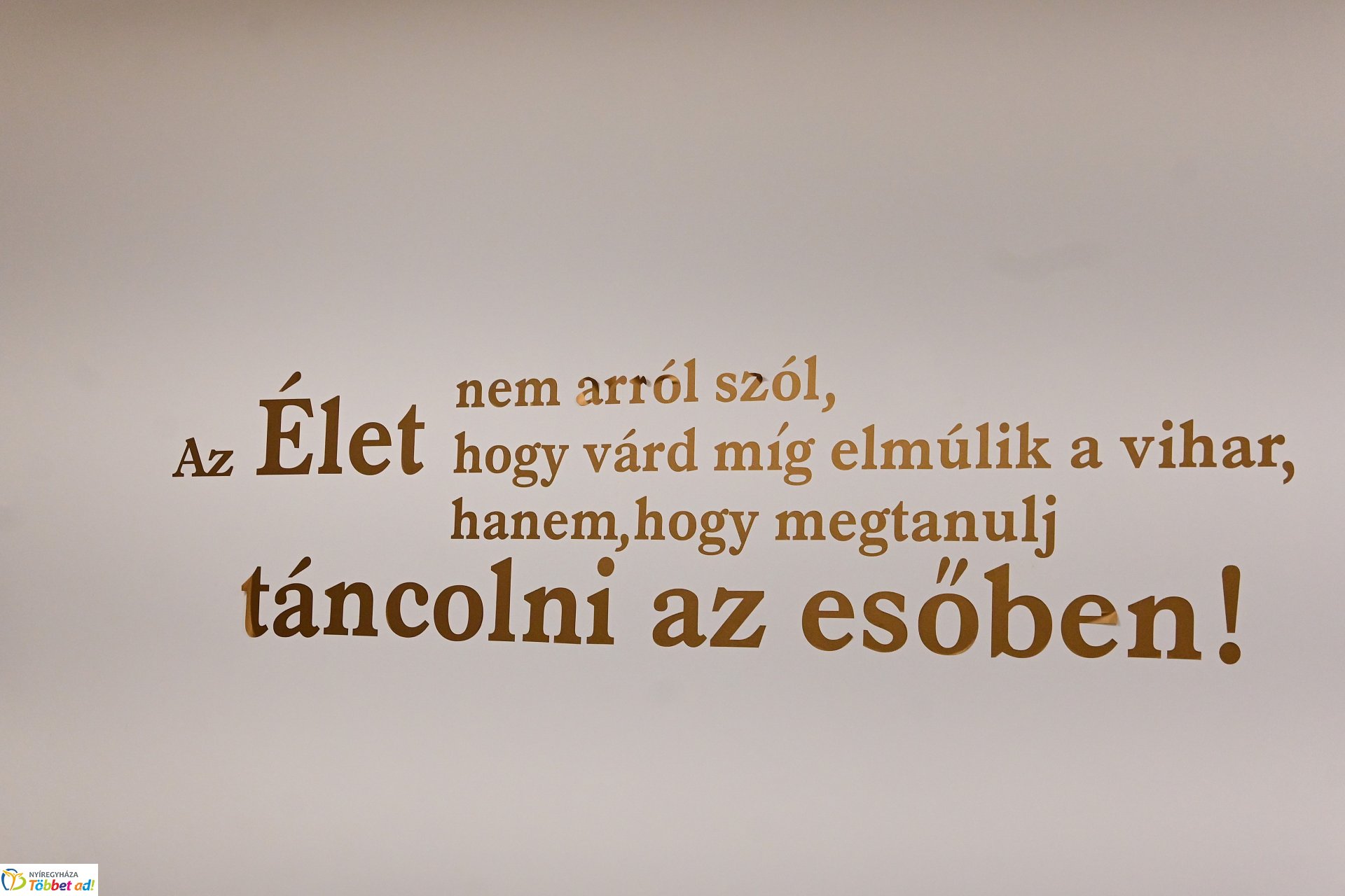 A Szociális Munka Napja 2025.