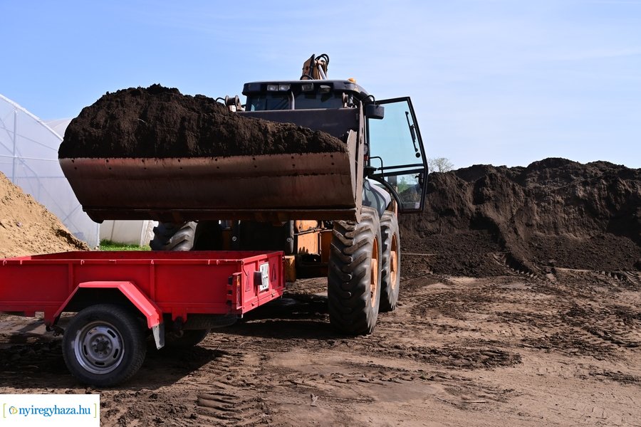 A szomszéd fűje mindig zöldebb akció 2024
