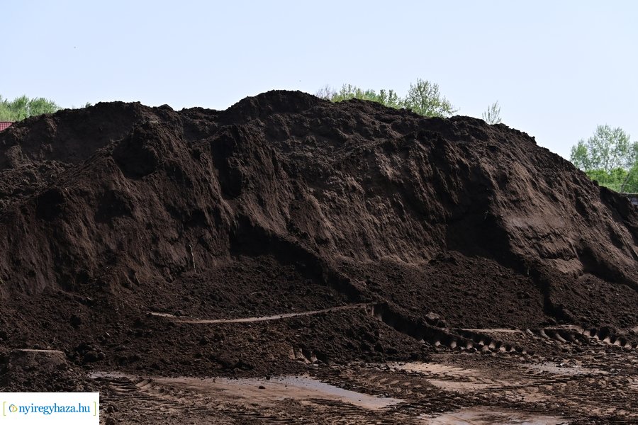 A szomszéd fűje mindig zöldebb akció 2024