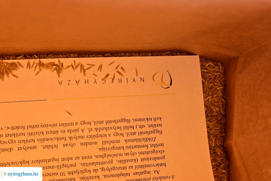 A szomszéd fűje mindig zöldebb akció 2024