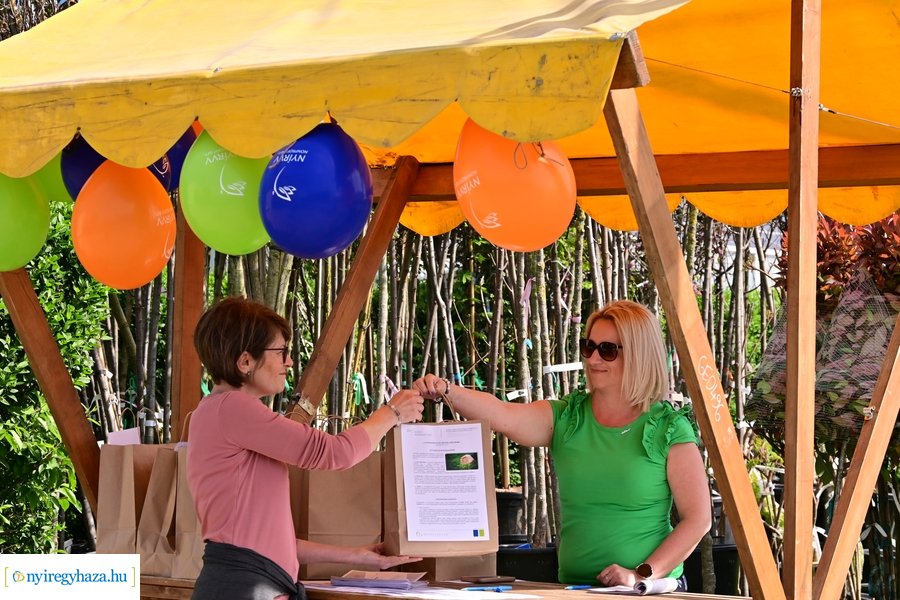 A szomszéd fűje mindig zöldebb akció 2024