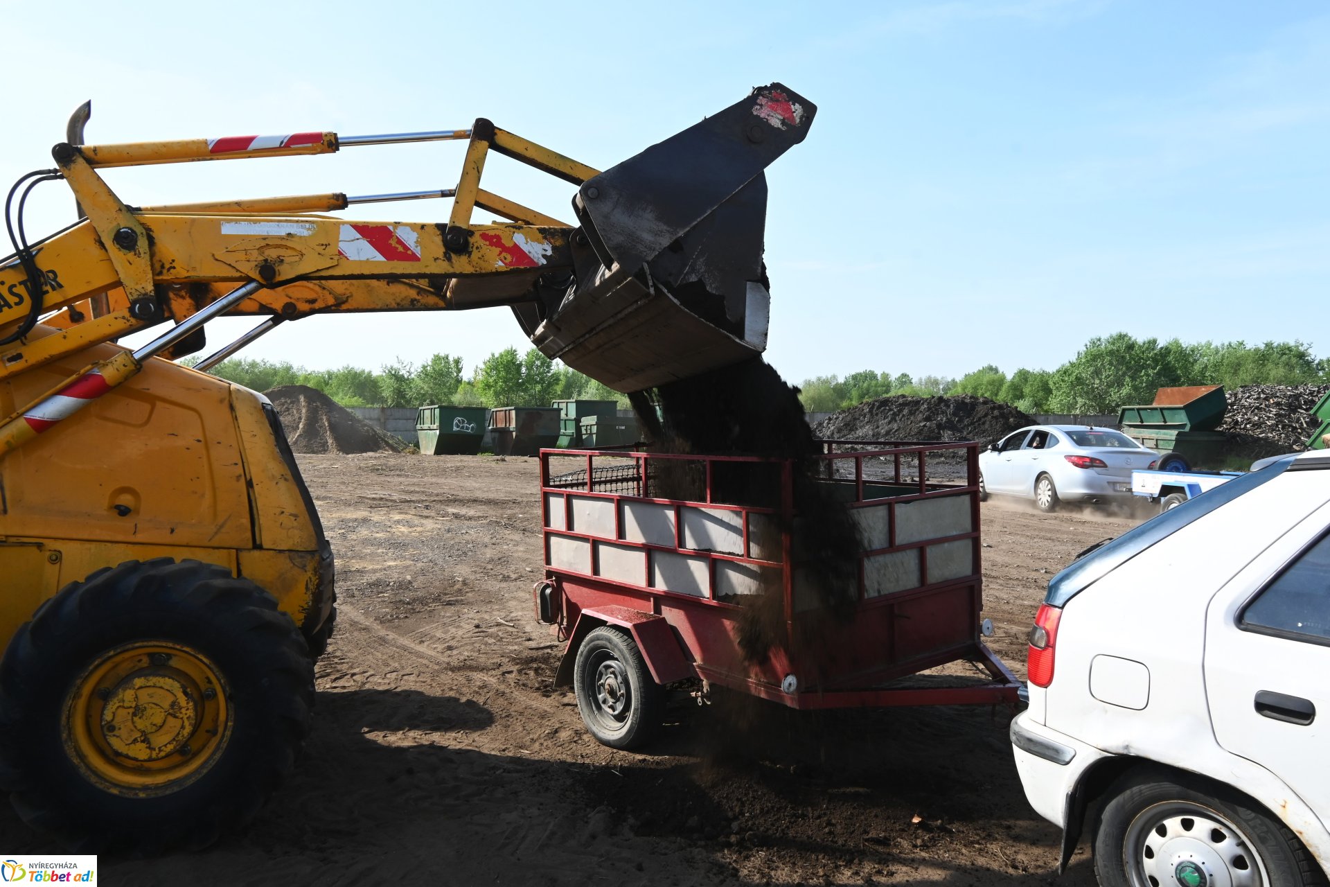 A szomszéd fűje mindig zöldebb - fűmagvak átadása a NYÍRVV-nél