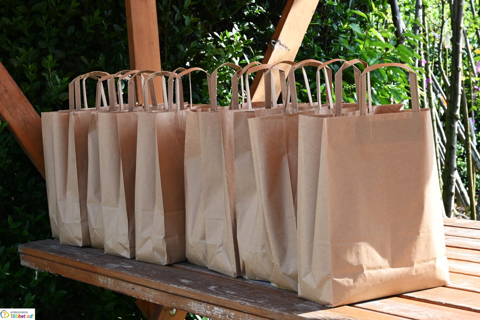 A szomszéd fűje mindig zöldebb - fűmagvak átadása a NYÍRVV-nél