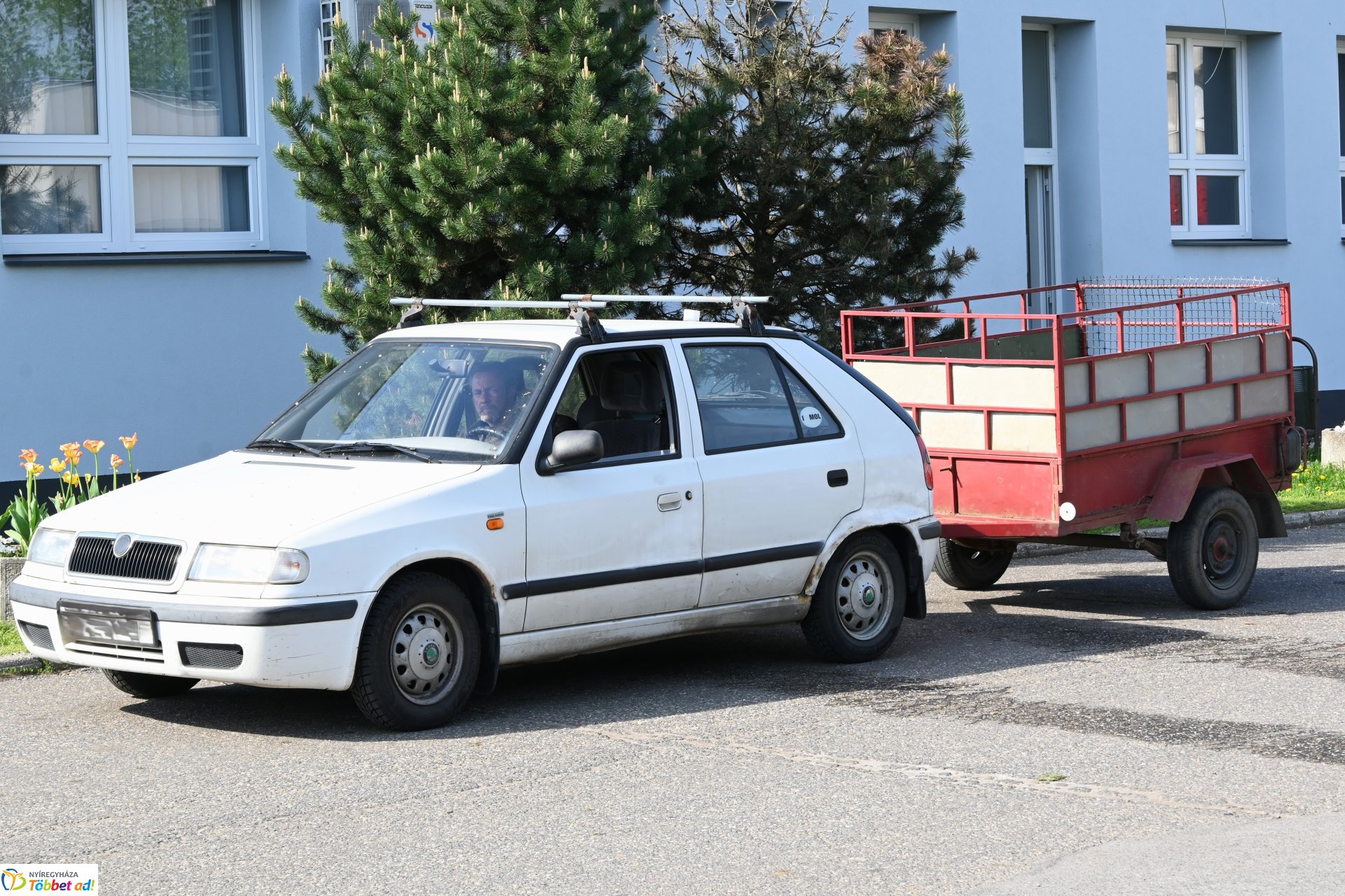 A szomszéd fűje mindig zöldebb - fűmagvak átadása a NYÍRVV-nél