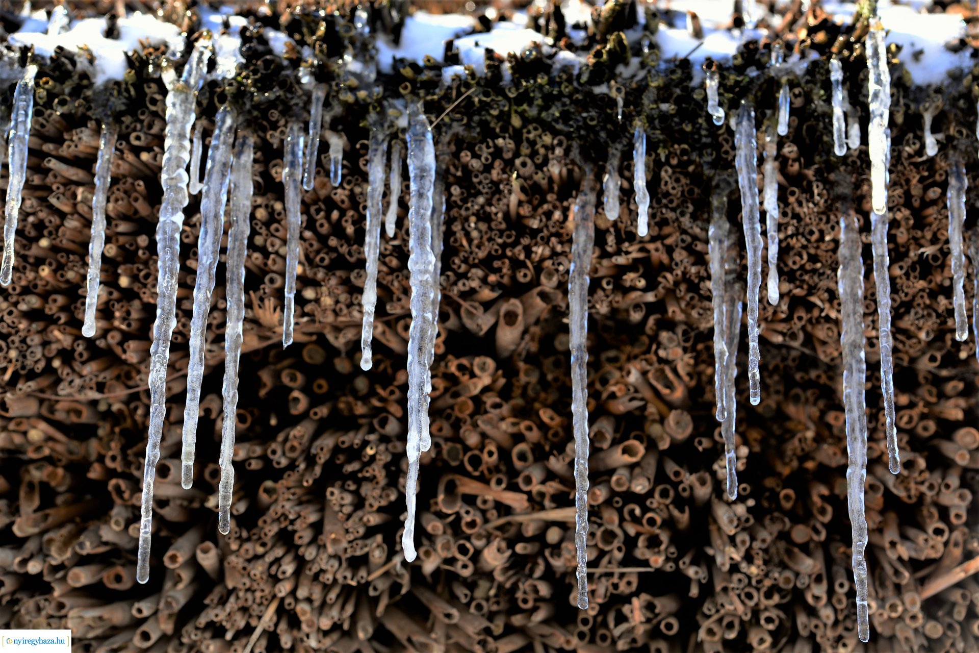 A tél szépségei a Sóstói Múzeumfaluban