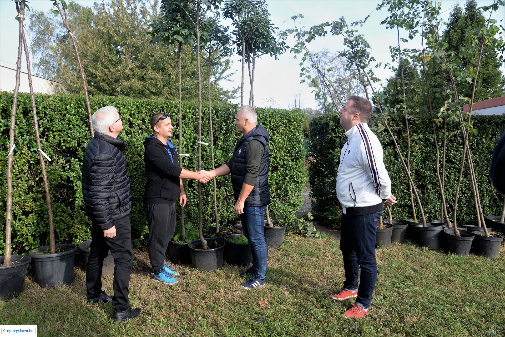 A Városszépítő program növényeinek átadása