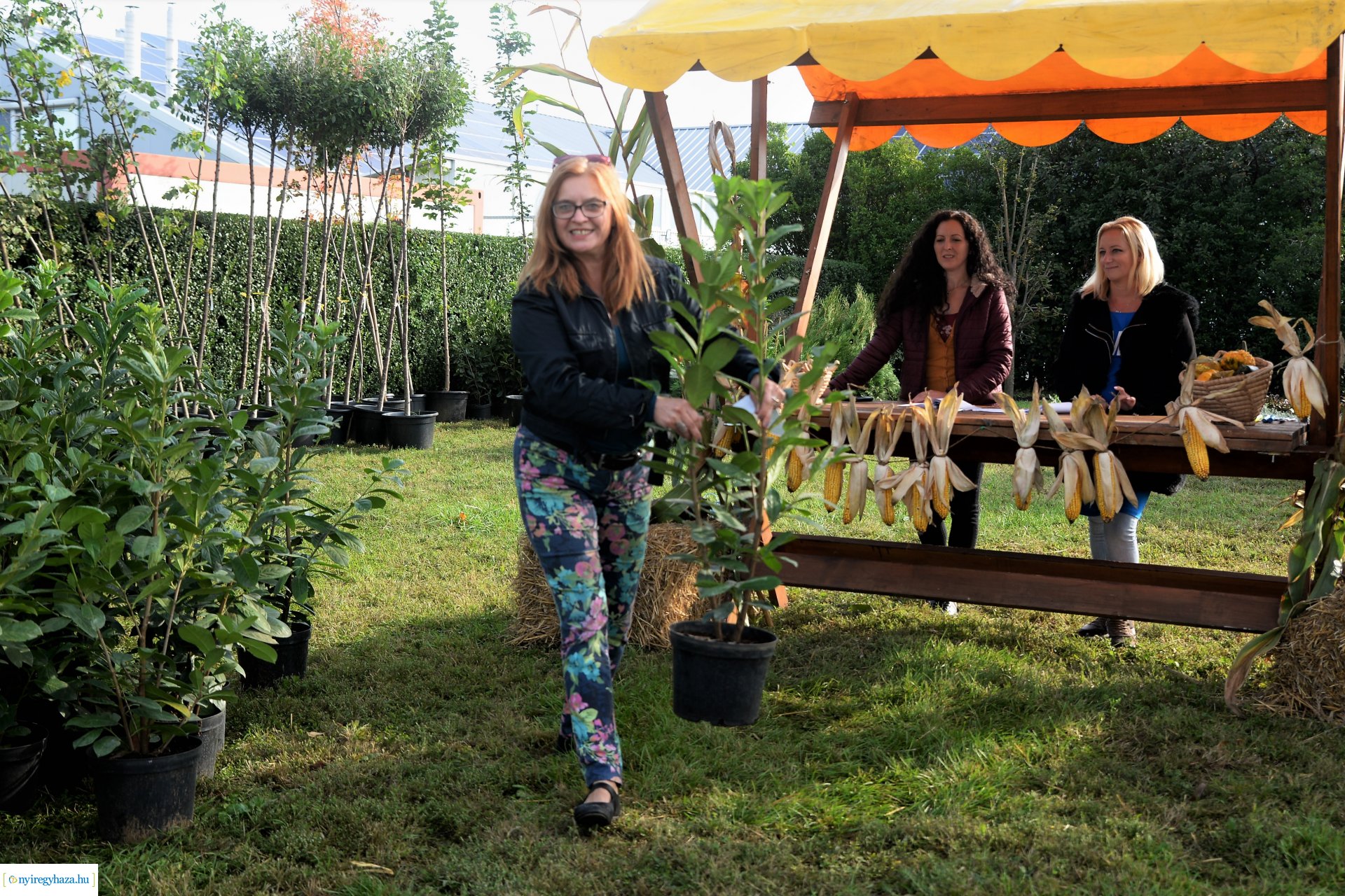 A Városszépítő program növényeinek átadása