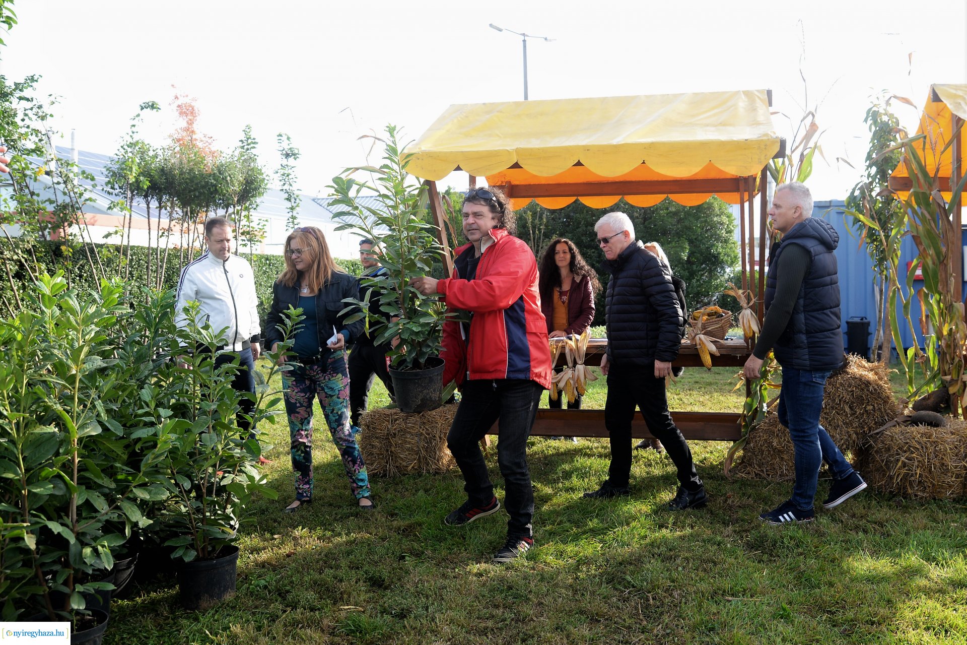 A Városszépítő program növényeinek átadása