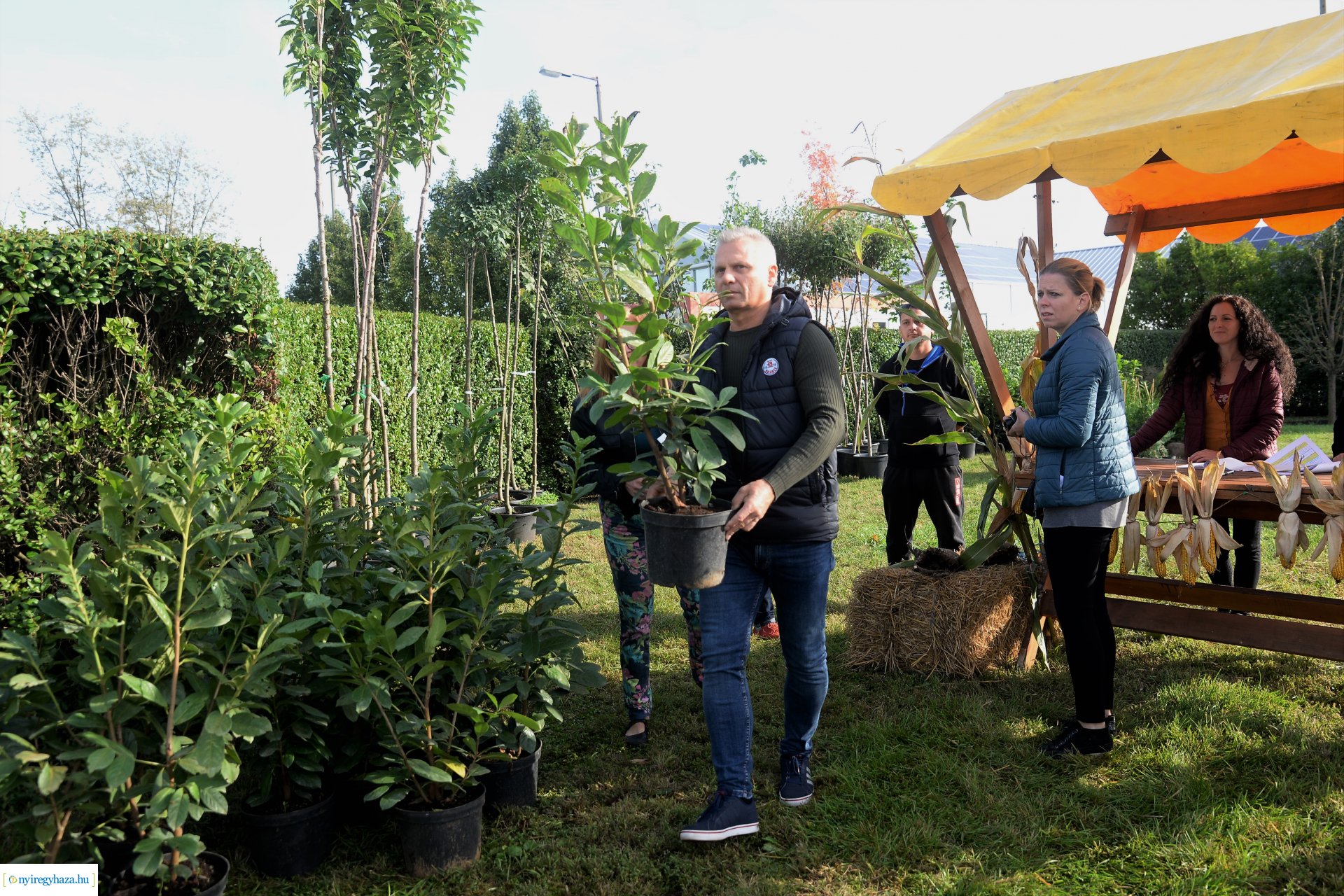 A Városszépítő program növényeinek átadása