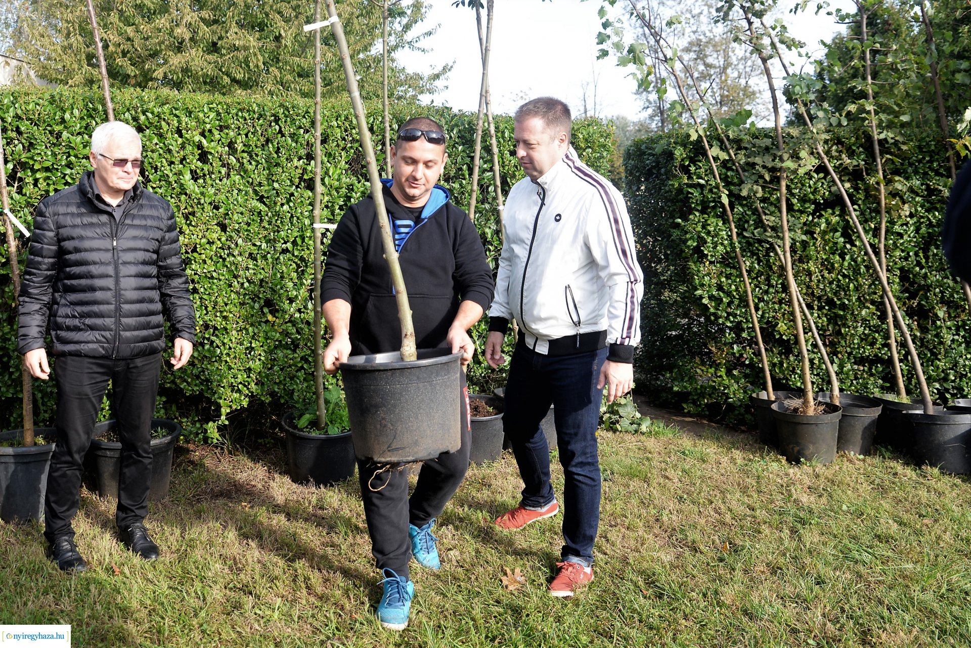 A Városszépítő program növényeinek átadása