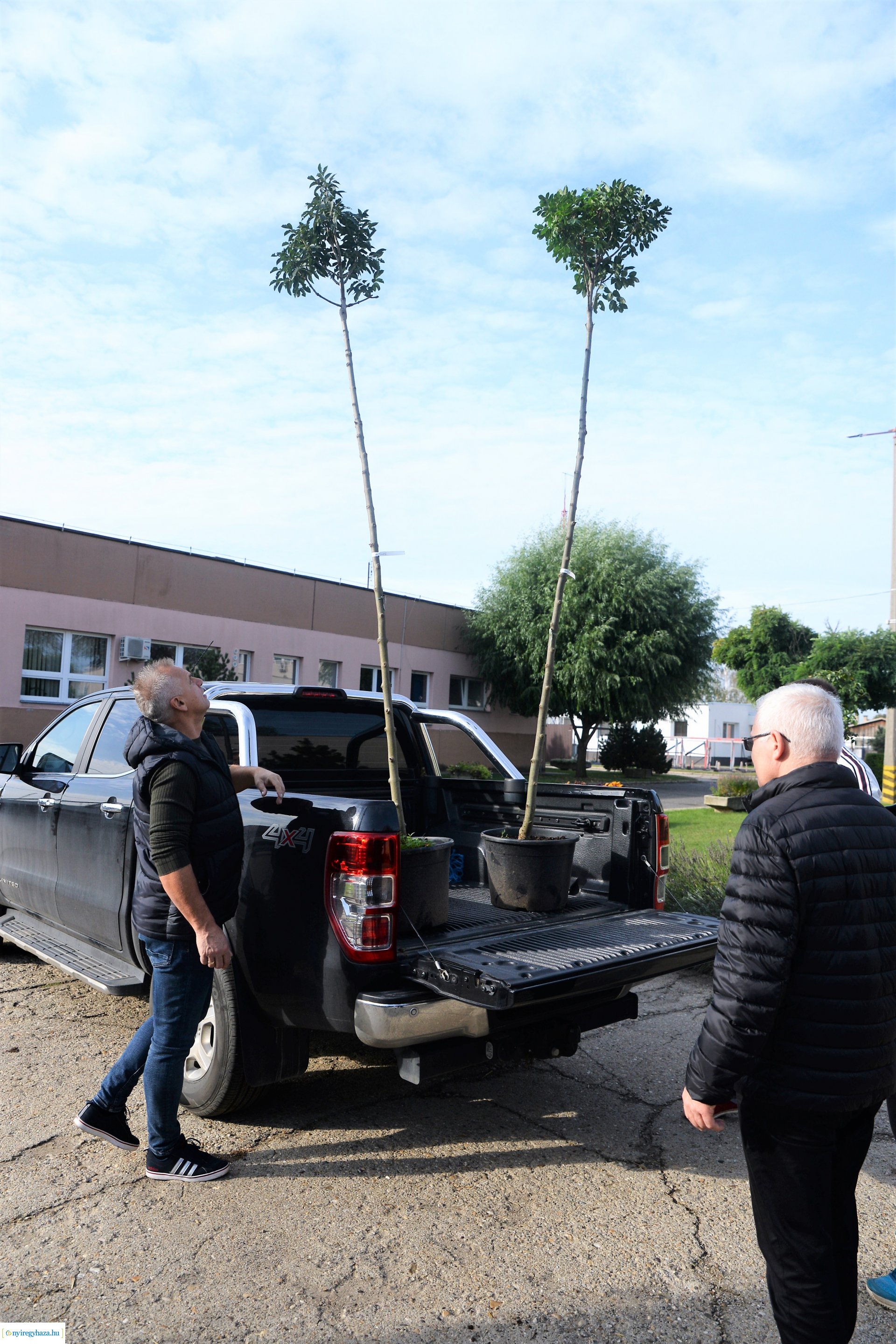 A Városszépítő program növényeinek átadása