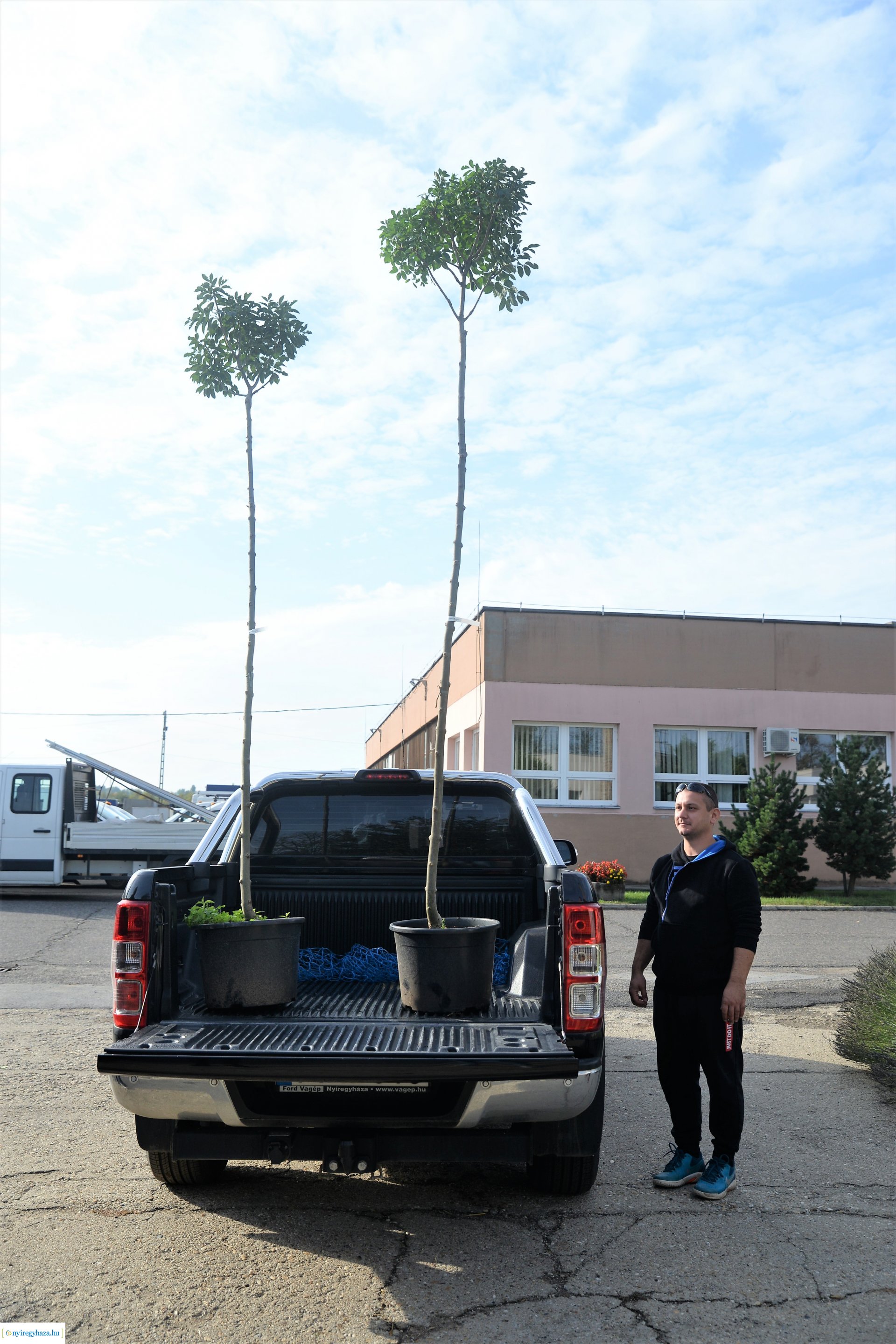 A Városszépítő program növényeinek átadása