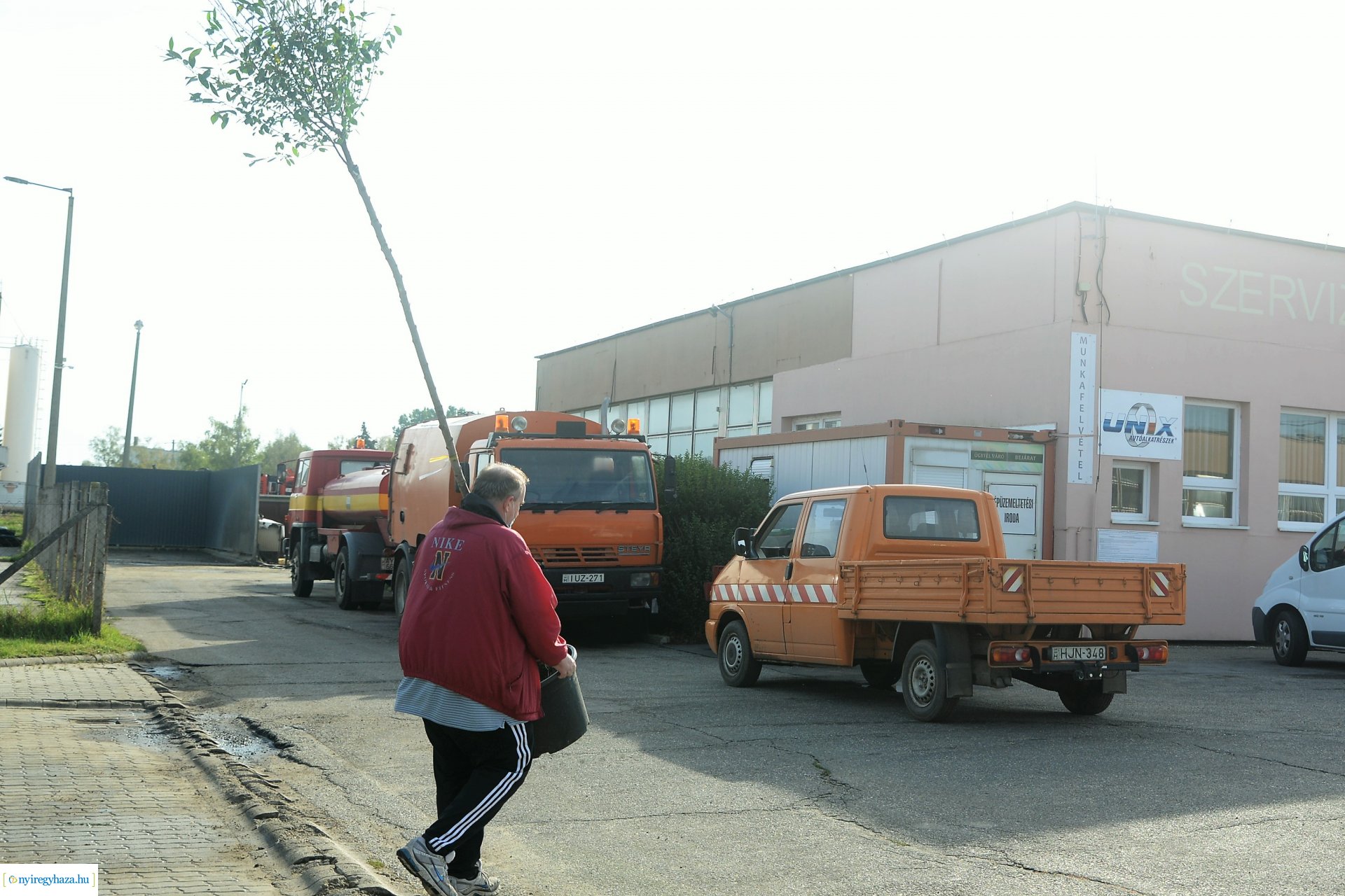 A Városszépítő program növényeinek átadása