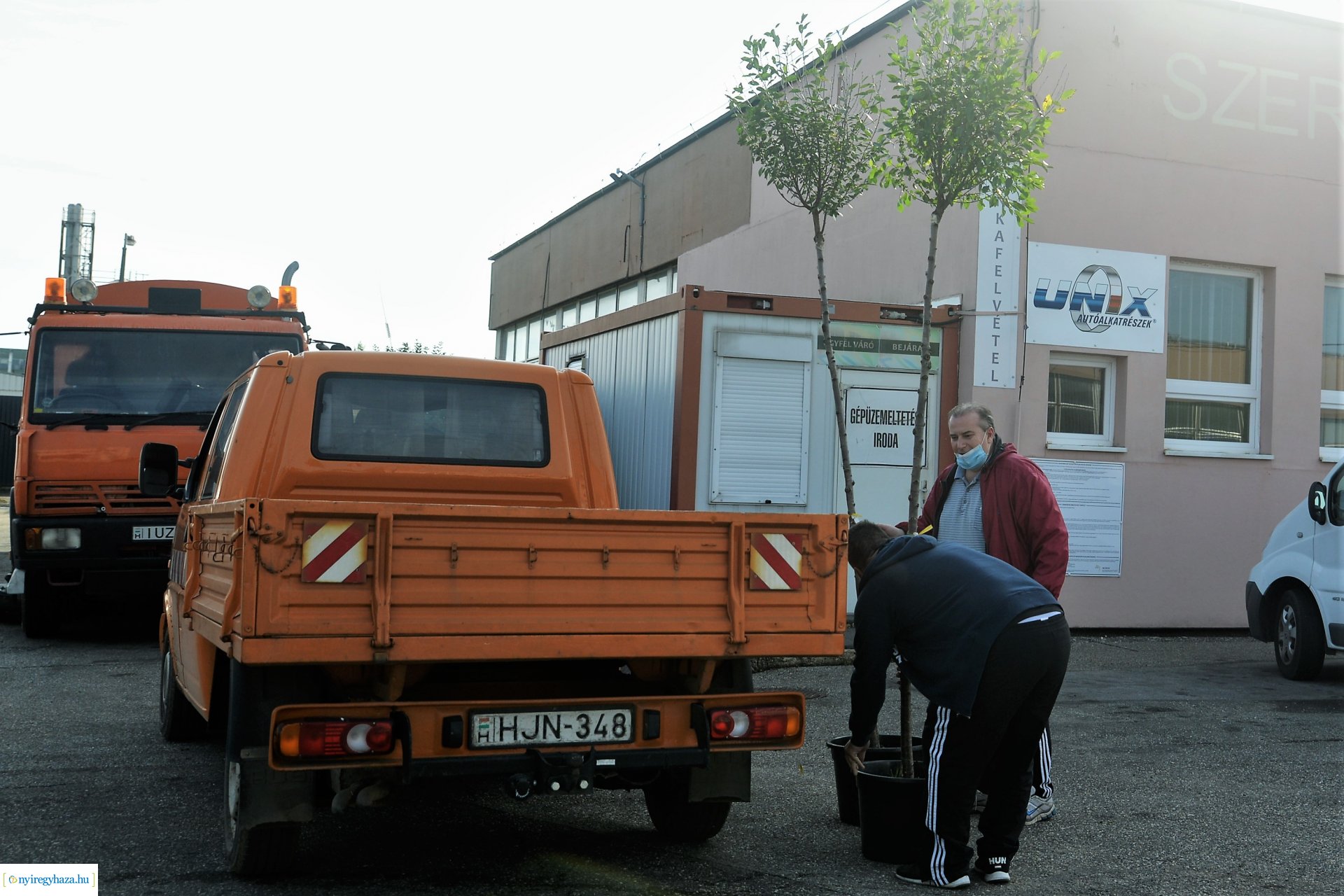 A Városszépítő program növényeinek átadása