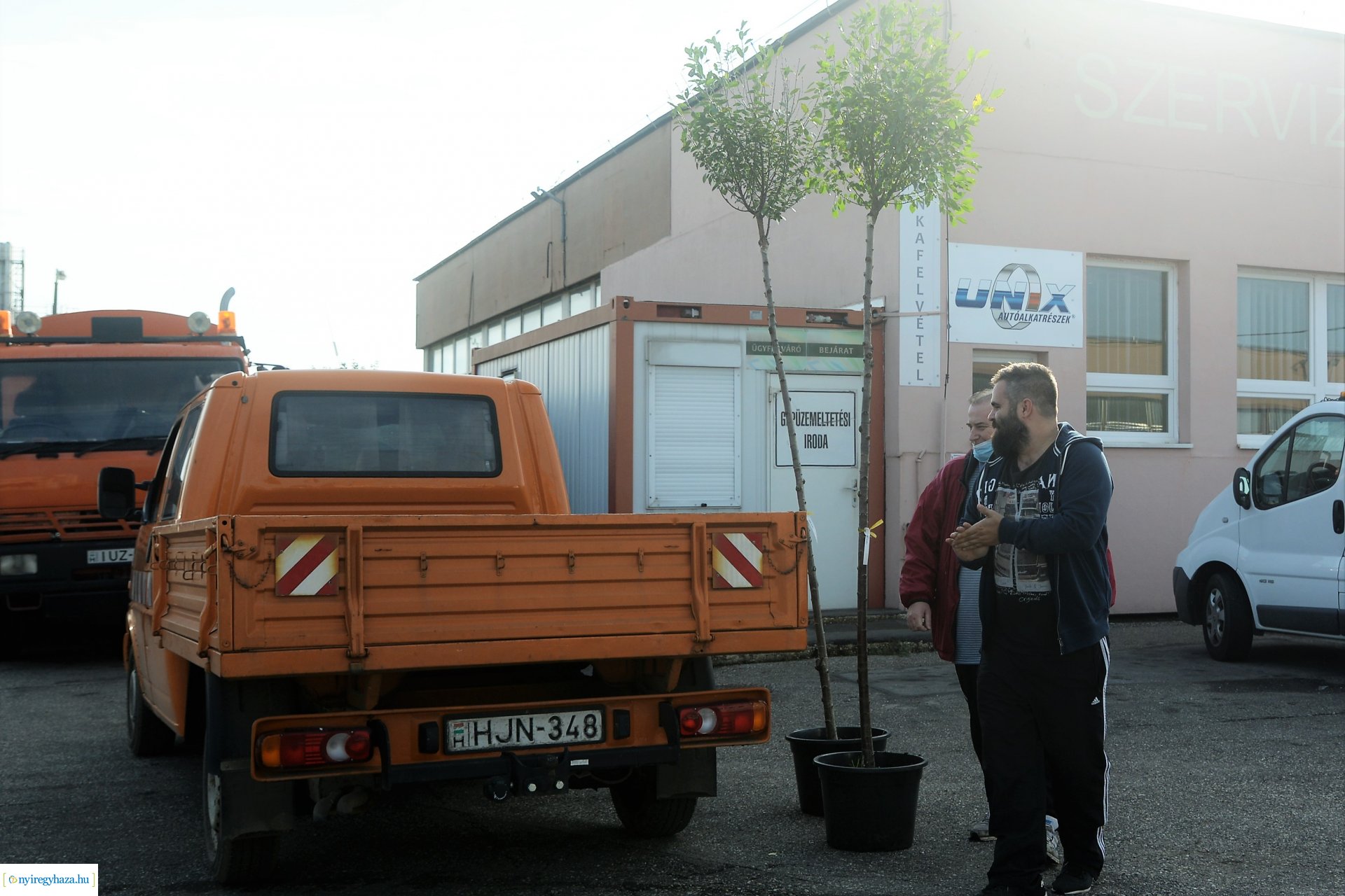 A Városszépítő program növényeinek átadása