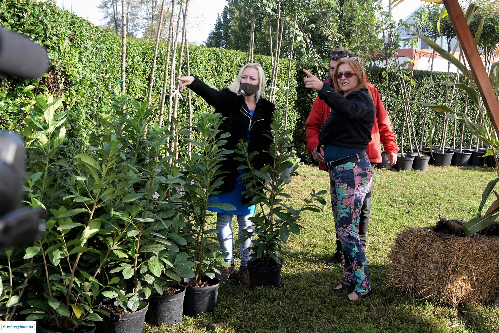 A Városszépítő program növényeinek átadása