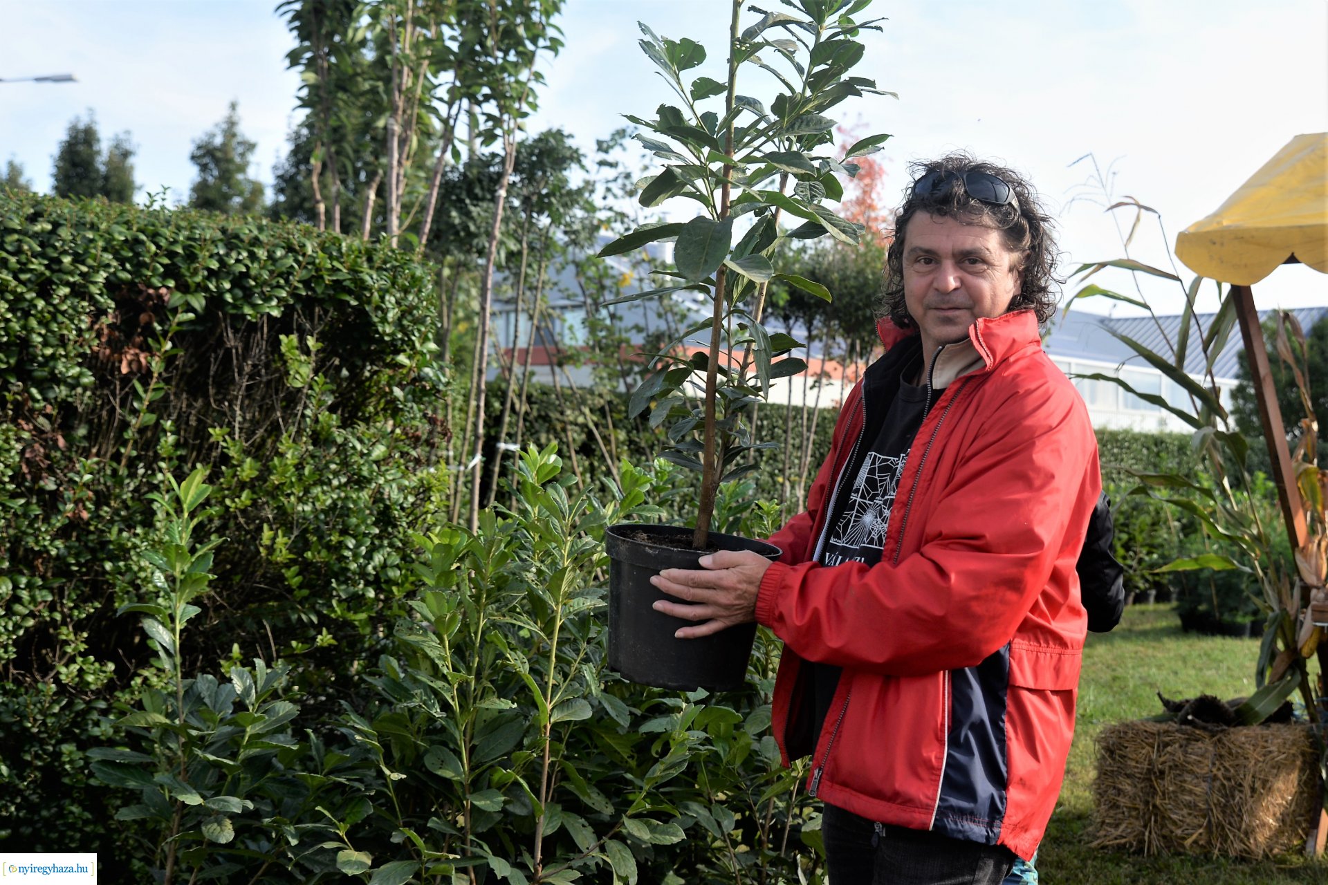 A Városszépítő program növényeinek átadása