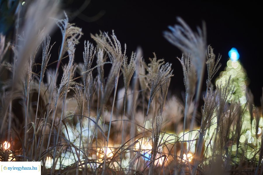 Advent 2020 negyedik gyertyája