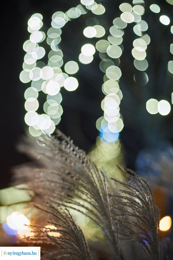 Advent 2020 negyedik gyertyája