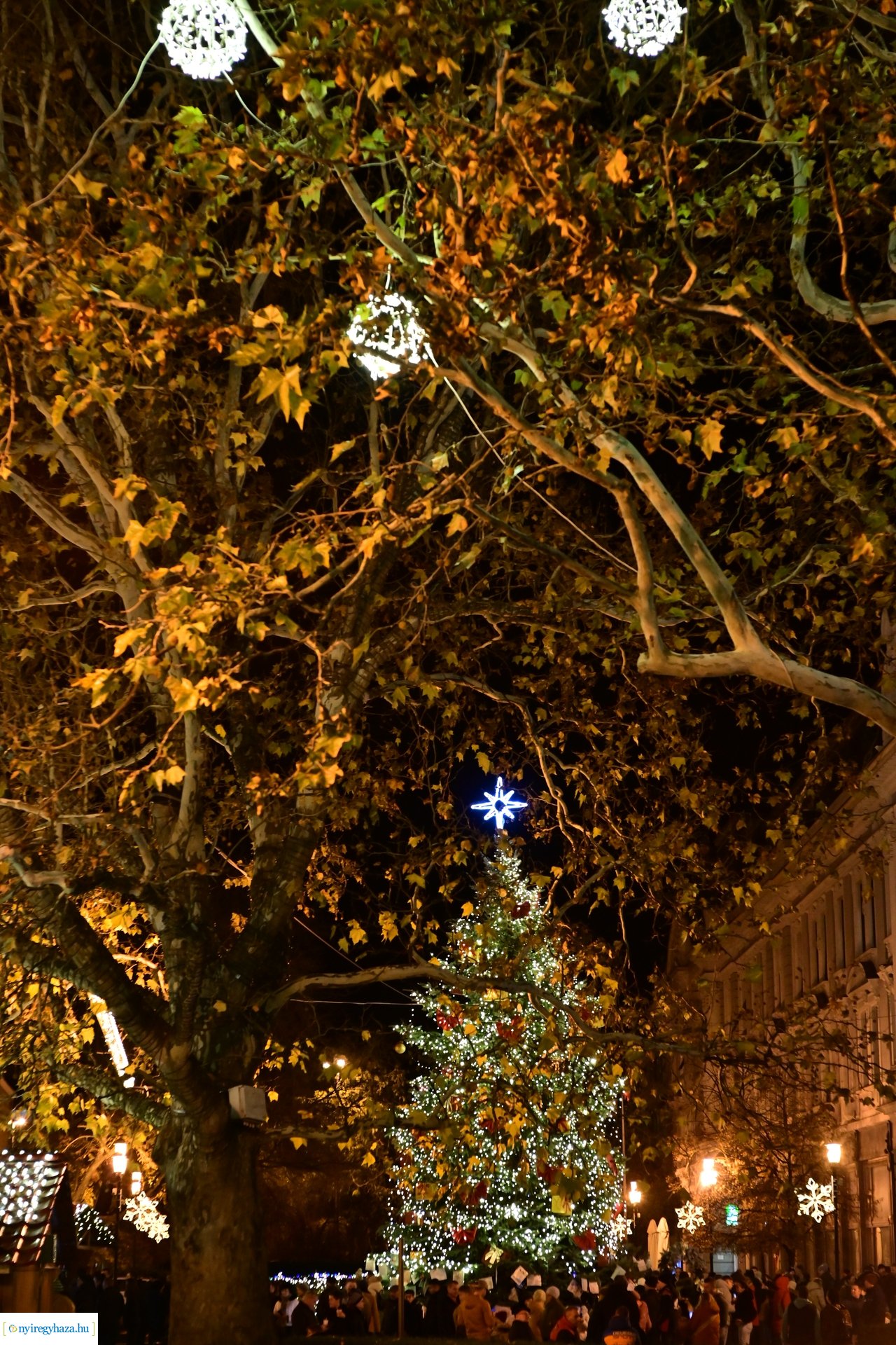 Advent első gyertyája 2024