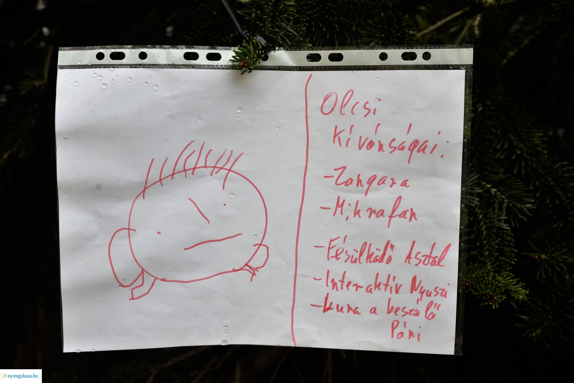 Advent első vasárnapján szállingózó hóesében