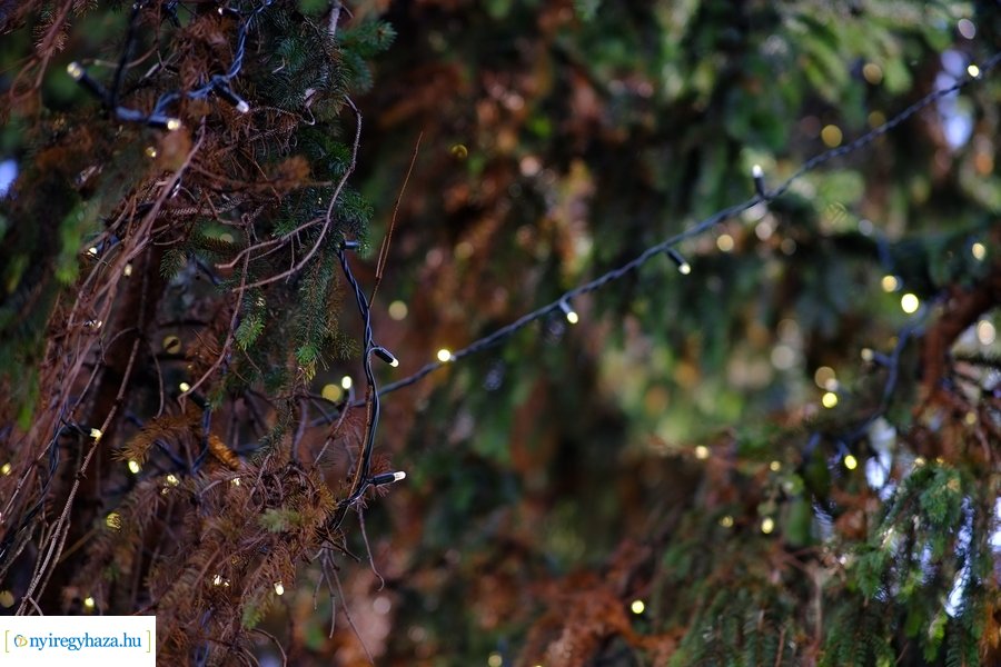 Adventre készülve - 2022