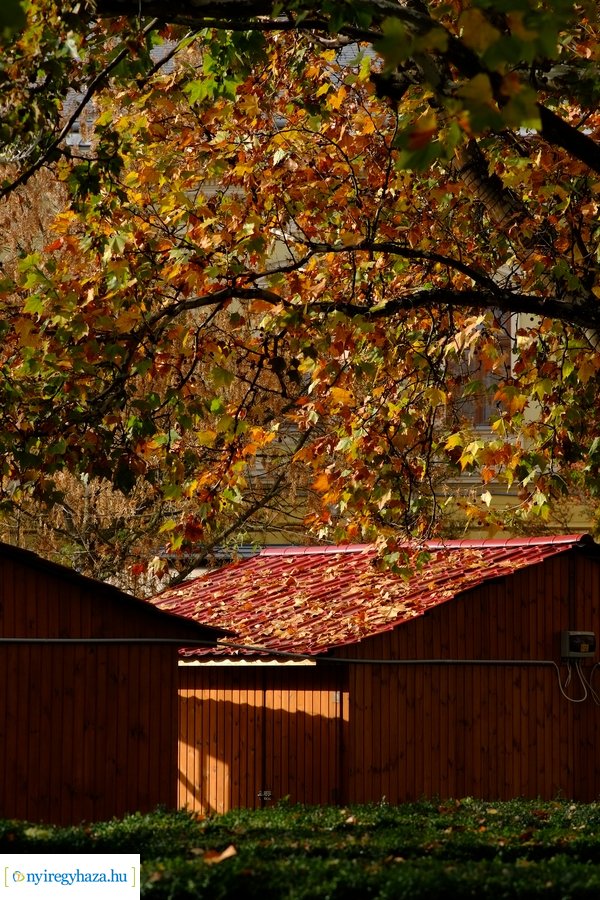 Adventre készülve - 2022