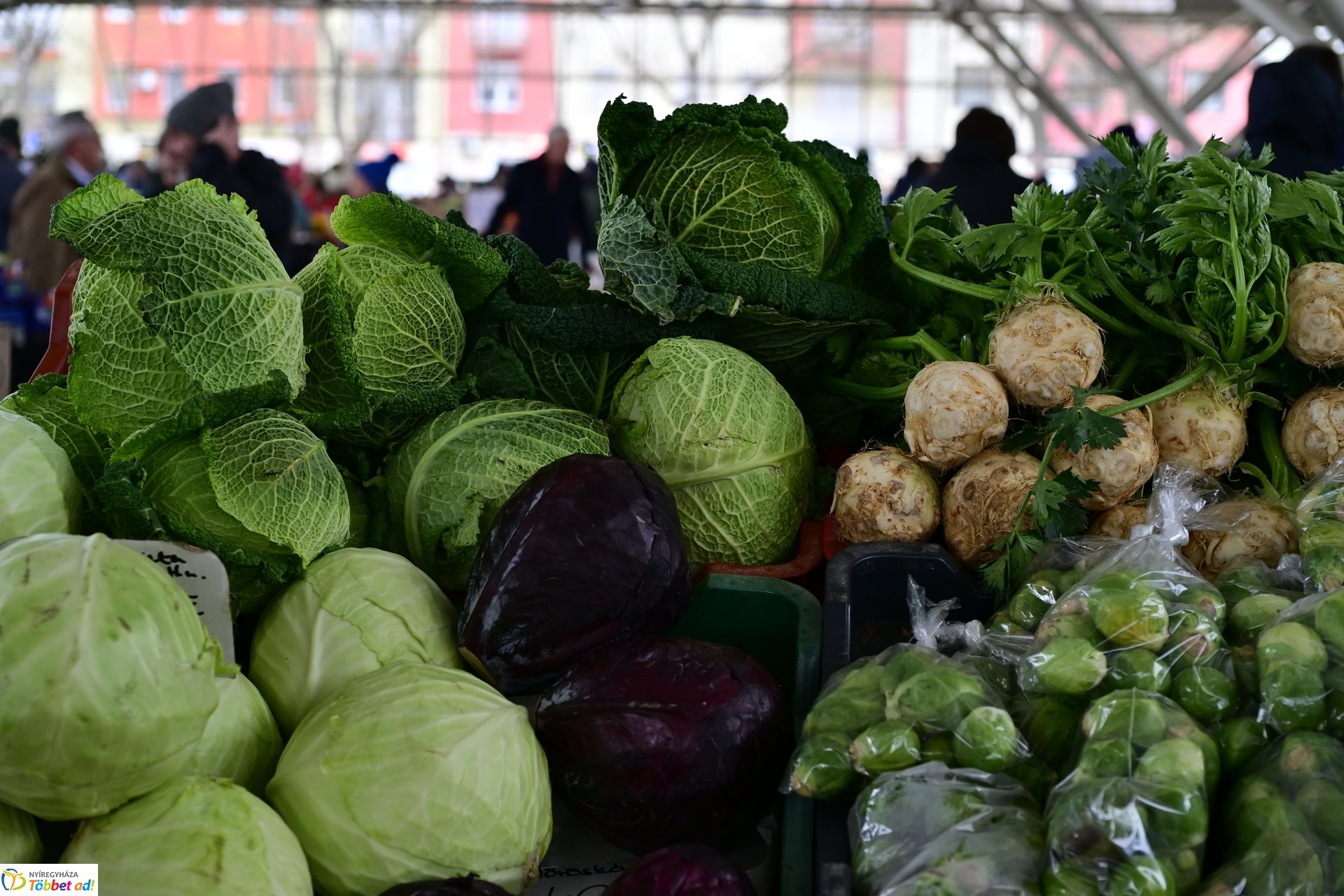 Karácsonyra készülve a Búza téri piacon - 2024