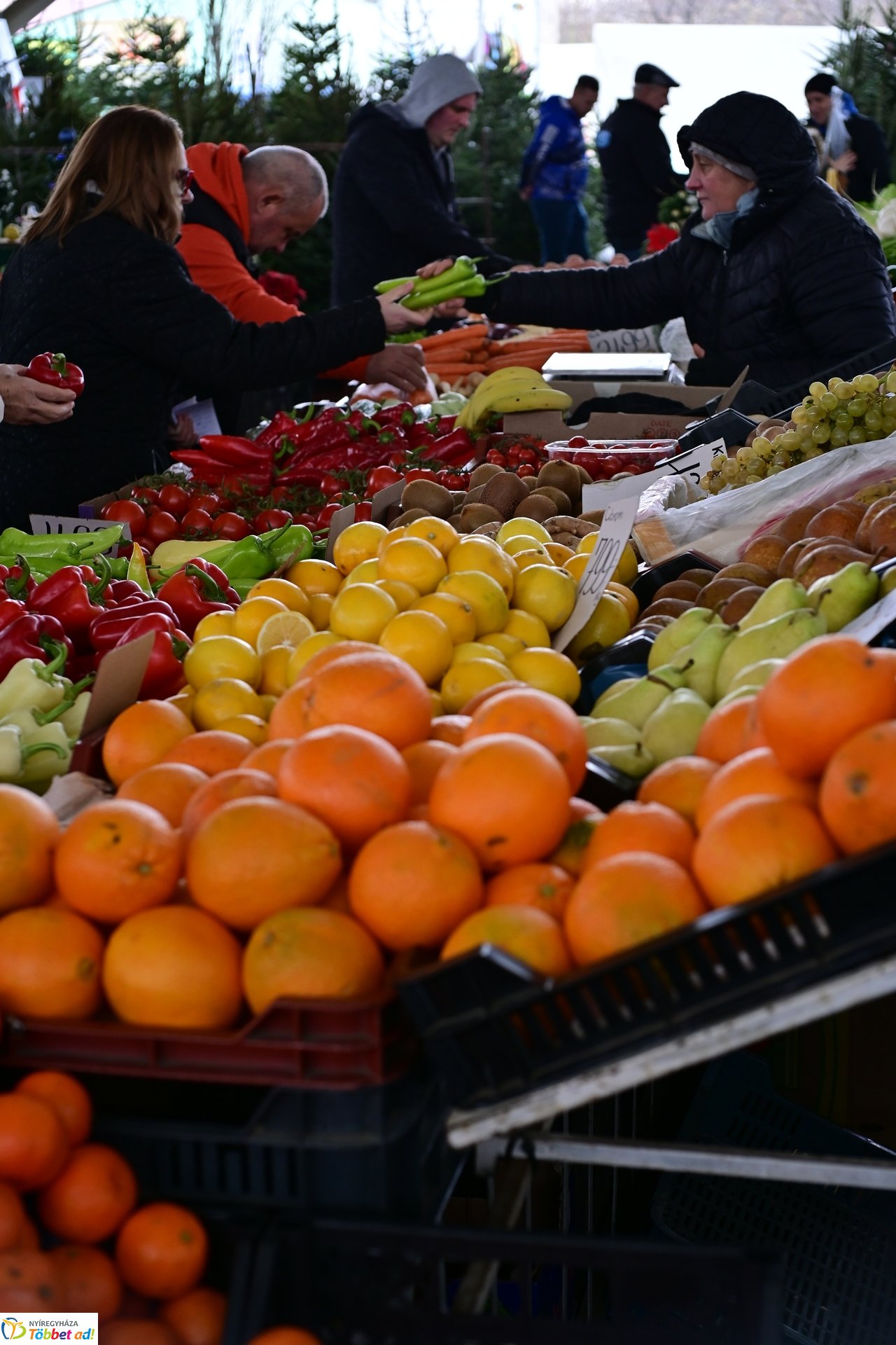 Karácsonyra készülve a Búza téri piacon - 2024