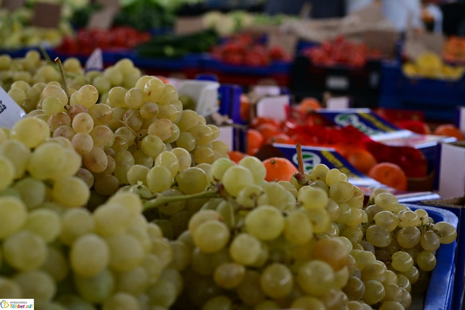 Karácsonyra készülve a Búza téri piacon - 2024