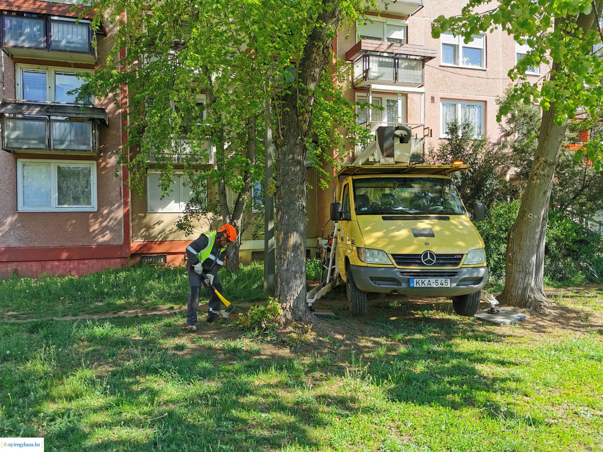 Ágvágás Jelvény utca